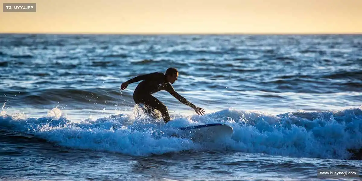 vsport体育app——🏐排球飞网，雷霆重扣！